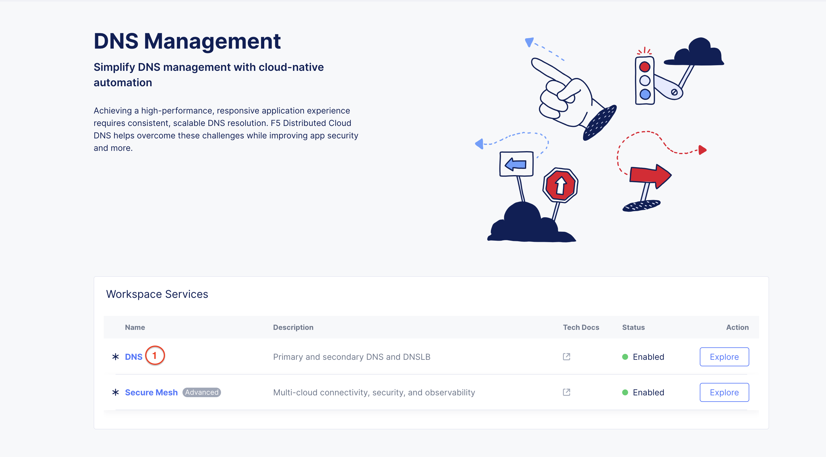 Figure: Workspace Services - DNS Management